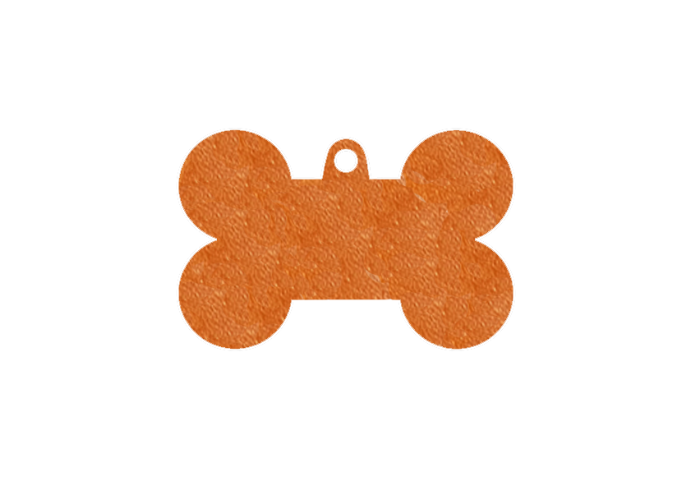 Pet Name Tag